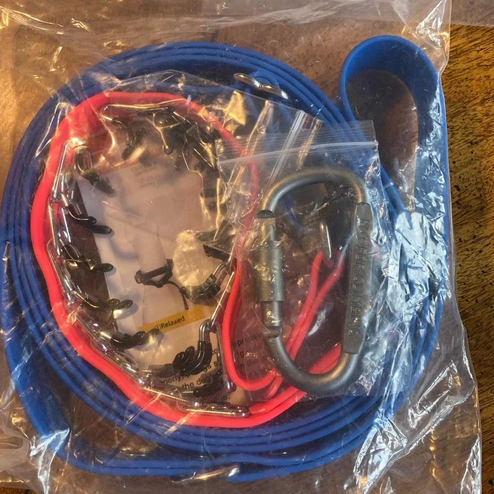 Prong Training Collar with attached leash